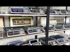 Scala per pavimenti WALL-E piattaforma di scala per pavimenti in acciaio inossidabile Scala per carrelli di pesatura